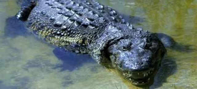 El hombre fue trasladado de emergencia a un hospital en Villahermosa