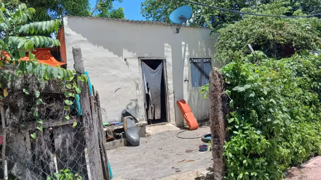 El dueño intentó buscar al ladrón, pero no tuvo éxito