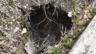 Socavones de avenida Universidad, un peligro para los ciudadanos de la ciudad de Chetumal