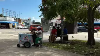 En busca de un mejor futuro, doña Juanita, migrante de Chiapas, dignifica su vida diaria ante su triste pasado