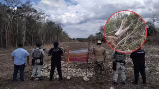 Profepa alerta golpe ambiental en Calakmul: dañan 14.9 hectáreas y especies protegidas