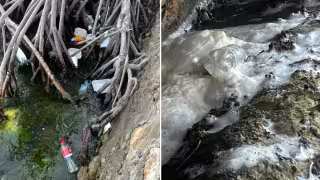 Habitantes exigen sanear el Bulevar Bahía antes de ampliarlo