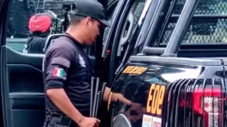 Hallan escopetas y varios kilos de carne de venado y jabalí en predio de Ticul