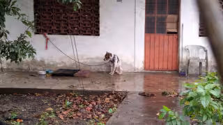 Para atender las denuncias, la Unidad opera con seis brigadas