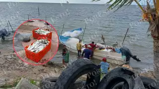 Obtuvieron más de 200 kilos de raya y una tonelada de cojinuda en su primera pesca del año.
