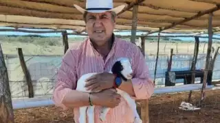 Faustino Hernández Álvarez era el líder de la Unión Ganadera Regional de Sinaloa