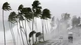 Bery alcanzaría la categoría en los próximos días