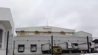 Bachoco no ha informado sobre el accidente en la planta de la Mérida-Umán