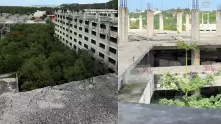 Autoridades investigan el caso como posible suicidio.