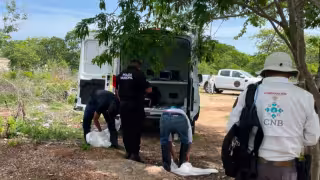 Hallan un cuerpo durante operativo de búsqueda en Umán