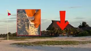 Alerta por ataques de perros callejeros en zonas deportivas de Ciudad del Carmen