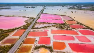 La salinera se ubica a solo una hora de Mérida