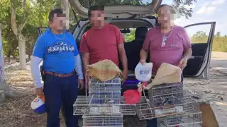 El vehículo fue asegurado y trasladado al corralón para las diligencias correspondientes