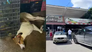 El Ayuntamiento aseguró que se trabaja en prevenir ese tipo de situaciones