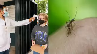 La región vive semanas de alarma: los contagios de chikungunya, dengue, influenza, zika y COVID-19 han aumentado