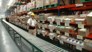 Las órdenes de suministro ya emitidas garantizarán la disponibilidad de insumos durante el tiempo necesario