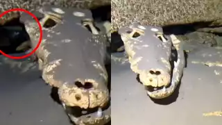 La misteriosa forma fue detectada por usuarios de TikTok