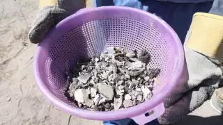 A pesar de descartar la existencia de un crematorio ilegal, la Fiscalía confirmó el descubrimiento de restos óseos en tres áreas distintas del municipio