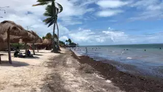 Así luce Playa del Niño este domingo 7 de julio en Cancún