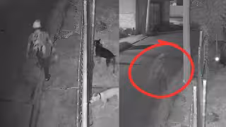 Una misteriosa grabación captada de madrugada en Campeche ha llamado la atención en redes sociales.