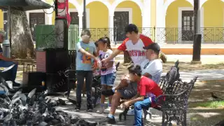 Representan una parte fundamental del entramado social, económico y afectivo de la entidad.