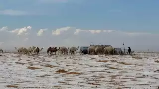 En un hecho insólito, el desierto en la región árabe de AlJawf se 'congeló' en una demostración evidente del cambio climático