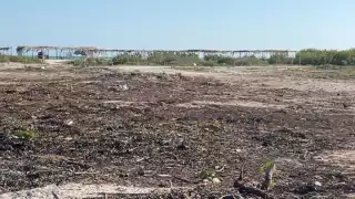 Desoyen las medidas de la Profepa, pues ya se lotificaron zonas de la playa y se quemó maleza