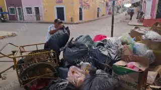 Hediondez y gusanos invaden la cabecera municipal ante falla en recolección de basura