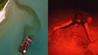 Vigilan posible impacto de derrame del Titán II en tortugas marinas de Ciudad del Carmen