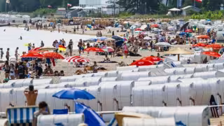 Los vibrios encuentran condiciones favorables cuando la temperatura superficial del agua supera aproximadamente los 18 o 20 grados y la salinidad permanece baja