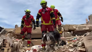 Halley, la perrita que ayuda en Venezuela; encontró a Hernán bajo los escombros