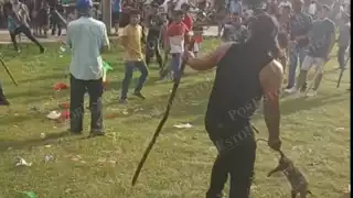 Fiscalía investiga autoridades por crueldad animal en tradición campechana