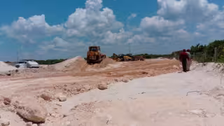 Las Dunas arrasó con flora protegida y puso en riesgo fauna silvestre en Yucatán
