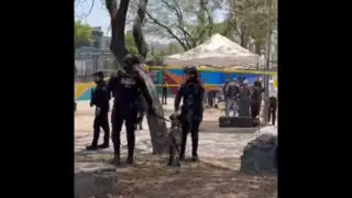 El análisis forense está siendo llevado a cabo por el Instituto de Ciencias Forenses de la Ciudad de México (INCIFO)