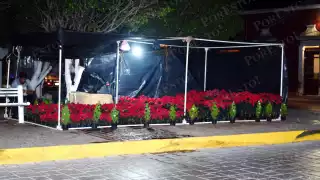 Precios de Nochebuena: entre 60 y 200 pesos según t