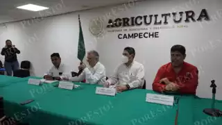 Productores de arroz en Campeche recibirán hasta 93 mdp por la compra de grano del ciclo 2024–2025.