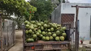 Indiferencia de CFE afecta la actividad comercial de negocios en Luis Echeverría Álvarez