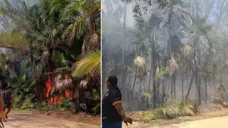 Un incendio forestal afectó cerca de media hectárea en la Reserva de la Biósfera de Sian Ka’an, Tulum.
