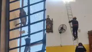 Bomberos rescataron al animal nocturno, tras el reporte ciudadano en el templo principal de Izamal.