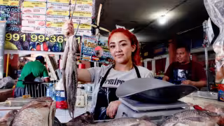 Pescadores atribuyen baja captura de pulpo en Yucatán a la pesca furtiva durante la veda