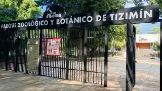 Desde temprana hora, familias comenzaron a arribar de manera paulatina a este espacio recreativo.