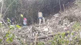 Advierten que retiro de vegetación pone en peligro estructuras prehispánicas