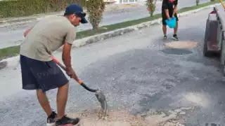 Labor comunitaria en Candelaria: compactadora y voluntarios contra los baches