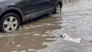Se puede solicitar una reposición de placas en caso de extravío