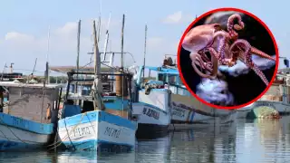 2025 se perfila como una de las mejores temporadas de los últimos ocho años