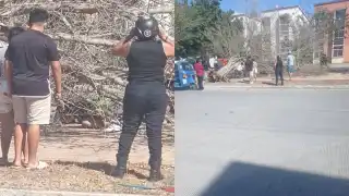 Persona queda atrapada tras desplome de árbol por fuertes vientos de la surada