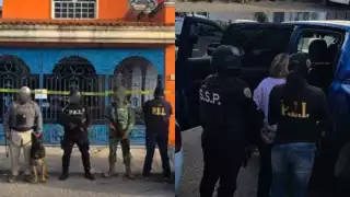 En el cateo participaron agentes ministeriales, peritos criminalistas, binomios caninos, y elementos de la Secretaría de la Defensa Nacional (SEDENA) y la Guardia Nacional