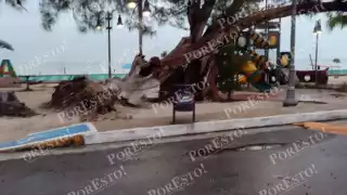 Frente frío 19: alerta por vientos y lluvias en la Península de Yucatán