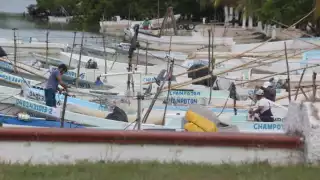 Pescadores champotoneros reportan mejores volúmenes de molusco, pero bajos precios