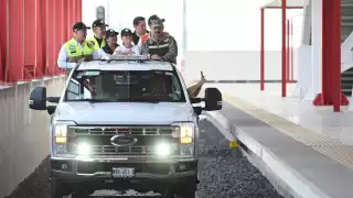 El tren CDMX-AIFA-Pachuca forma parte del plan nacional para fortalecer la conectividad del Valle de México